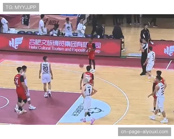 安徽皖江龙95-81力克山东蜜獾 威尔森20分率队主场告捷